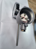 Digital Bimetal Pointer Temperature Sensor Thermometer Industrial Reactors Water Temperature 0-600C Stainless Steel OEM ODM