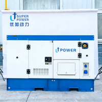Générateur diesel silencieux triphasé à économie d'énergie 187 kVA avec ATS pour usage domestique, faible consommation de carburant, onduleur 24 V