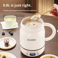 Fabricant de tasses chauffe-eau électriques miniatures portables OEM ODM 2025 Bouilloire électrique portable Tasse à boisson chauffante intelligente avec logo