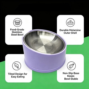 Gamelle inclinée en acier inoxydable pour animaux de compagnie, bol d'alimentation en mélamine pour chiens et chats, gamelle personnalisable pour nourriture et eau - Product Image 5