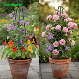 Support de plante en spirale pyramidal rond pour fleurs, tomates, concombres, support d'escalade pour plantes - Product Image 2