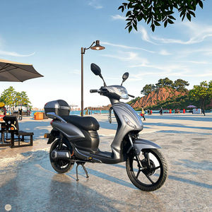 Scooter électrique pour adultes homologué pour la route en UE, 1000W, 48V, batterie au lithium 40AH, 2 places, homologué EEC COC, assistance au pédalage, sans <span class=keywords><strong>permis</strong></span> de <span class=keywords><strong>conduire</strong></span> - Product Image 5