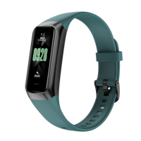 Bracelet intelligent de santé et de sport personnalisé C60 OEM, montre bracelet, CE RoHS, étanche, logo SDK personnalisé