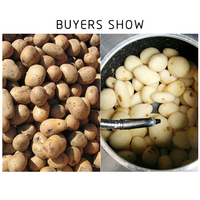 Hot Sale Commerciële Automatische Fruit Groente Huid Peeler Kleine Elektrische Aardappel Carrot Peeling Wasmachine