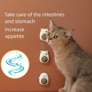 Khỏe mạnh <span class=keywords><strong>catnip</strong></span> bóng cho vui tươi mèo bền vững mèo cỏ Snack bóng với tiêu hóa lợi ích đóng gói trong túi - Product Image 6