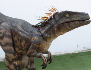 Disfraz de Dinosaurio <span class=keywords><strong>Velociraptor</strong></span> Realista Personalizado 2026, Profesional, Vívido, Azul Peludo, Interactivo para Parque de Aventuras, Adultos - Product Image 4