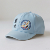 AOYOU Venta Directa a Bajo Precio, Gorra de Béisbol de Estilo Chino de Alta Calidad, 6 Piezas, con Bordado 3D de Alta Calidad