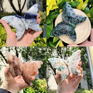 Tự nhiên Cổ Đại biển echinoderms hóa thạch (nhím biển sao biển) mẫu vật đá thô trang trí địa chất, 6-8 cái/kg - Product Image 6
