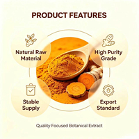 Poudre d'extrait de Curcuma Longa microencapsulée hydrosoluble à 10 % de curcumine