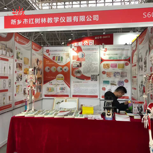 Mô Hình Giải Phẫu Thú Y Mô Hình Tử Cung Lợn - Product Image 5