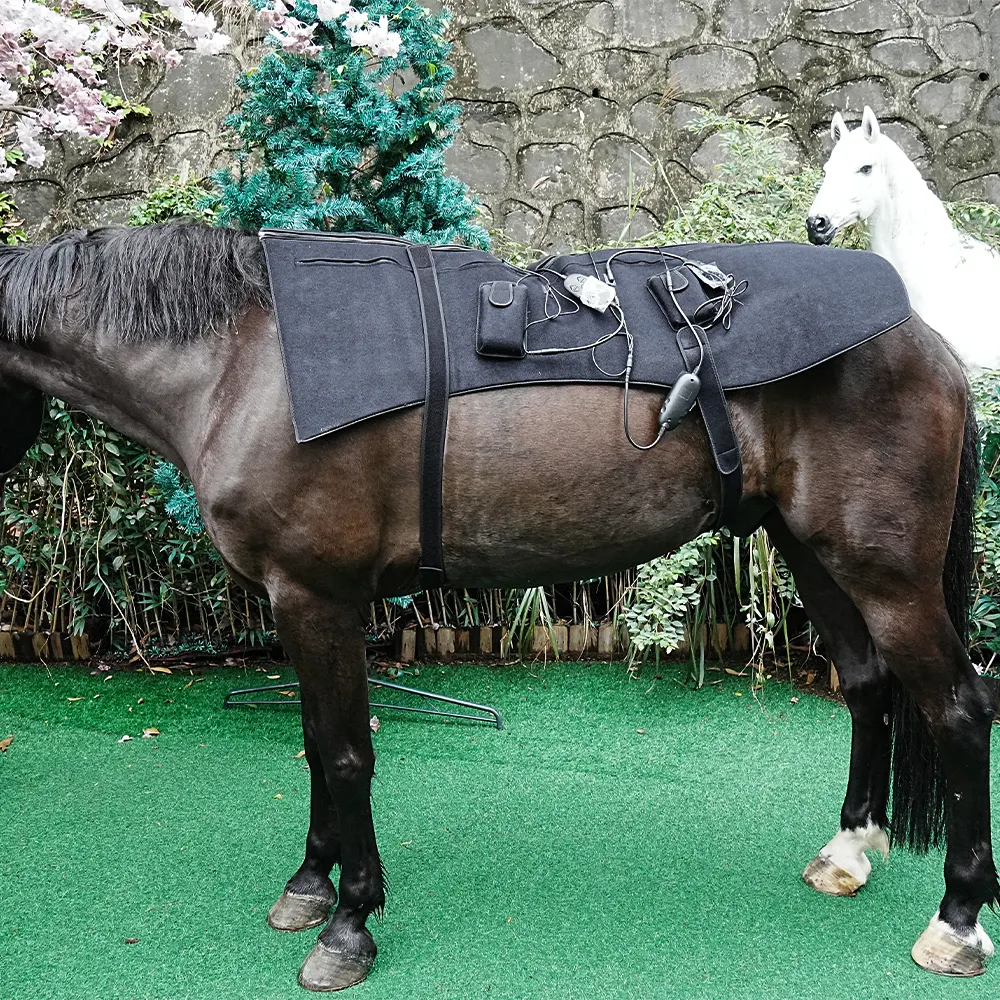 SODOLUX Treating Horse Pets with Red Light Therapy Belt to Relieve Pain