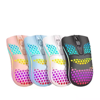 Souris de jeu ergonomique RGB, souris optique filaire LED légère pour joueurs, souris d'ordinateur USB 2.4G sans fil