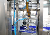 Machine de remplissage d'eau minérale liquide 3 en 1 entièrement automatique Ligne de production d'embouteillage PET d'eau potable