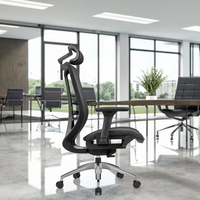 Chaise de bureau ergonomique moderne en maille avec appui-tête réglable, support lombaire, accoudoirs, vérin à gaz certifié classe 3, alliage d'aluminium, garantie 3 ans
