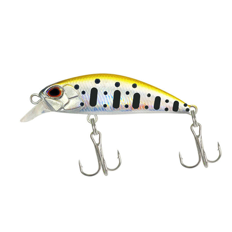 6# Gold Back Silver Black Dot