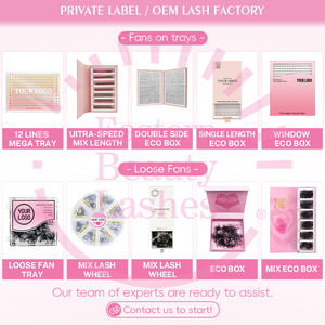 Personnalisé Premade 3D 4D 30D CC Cachemire Promade Lashes <span class=keywords><strong>Volume</strong></span> Lash Pro Made Fans Extensions De <span class=keywords><strong>Cils</strong></span> Promade Lash Fans - Product Image 2