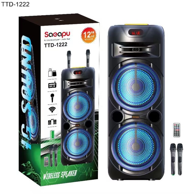 Wholesale OEM Dual 12inch Plastic Speakers Outdoor Use Two Wireless Microphones 3000-5000mAh Battery Remote Control IPX-0