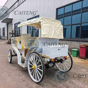 Carrozza Elettrica da Golf Economica, Design Ispirato a Carrozza per Cavalli, Carrozza Vittoria, Carrozza a Zucca di Cenerentola, per Tour Turistici in Stile Reale - Product Image 2