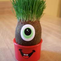 Poupée à tête d'herbe-Jouet de plantation amusant pour enfants, cadeau unique, eau pour cultiver l'herbe, forme de poupée