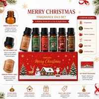 Ensemble d'huiles parfumées de Noël de luxe de qualité supérieure, naturelles et pures, pour la fabrication de savons, de parfums et de diffuseurs d'aromathérapie