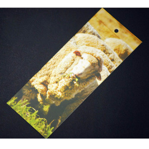 Étiquettes personnalisées en fer pour animaux de compagnie <span class=keywords><strong>à</strong></span> prix de gros, étiquettes de t-shirt gravées, étiquettes de prix numériques personnalisées pour supermarchés - Product Image 6