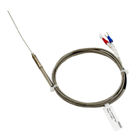 Capteur de température micro-armé ST701-1, précision de classe I, fil métallique de 0,25/0,5/1/1,5 mm pour la mesure de température industrielle en espaces restreints