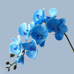 Decoración para Sala <span class=keywords><strong>de</strong></span> Estar, Flor Artificial <span class=keywords><strong>de</strong></span> Phalaenopsis, Orquídea <span class=keywords><strong>de</strong></span> Estilo Europeo, 8 Cabezas, Tacto Humectante - Product Image 1