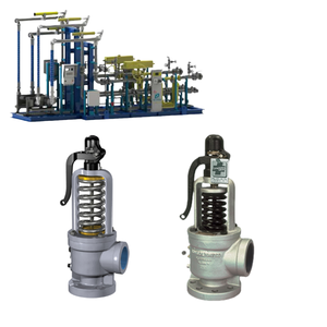 Válvula de seguridad de bajo consumo de gas consolidada Serie 1511 1541 1543 de hierro fundido - Product Image 1