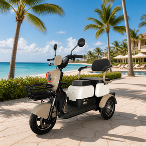 DomeRide Micro Car 2025 Nuovo Arrivo Certificazione EEC Tricicli Elettrici Piccoli 60v 1000w per Anziani - Product Image 5