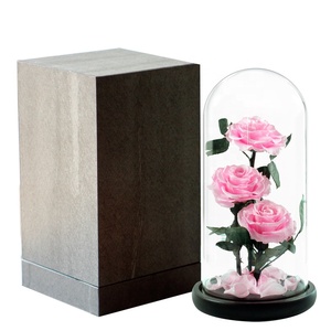 Forever Rose de gran tamaño en cúpula de cristal <span class=keywords><strong>para</strong></span> regalos de cumpleaños perfectos <span class=keywords><strong>para</strong></span> mujeres y regalo del Día DE LA Madre - Product Image 6