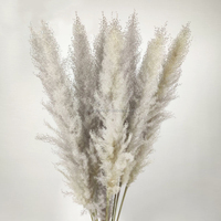 Herbe de la Pampa Séchée Naturelle pour Décoration de Mariage, Bouquet de Fleurs pour Arrangement Mural Domestique, Fournitures Florales en Gros