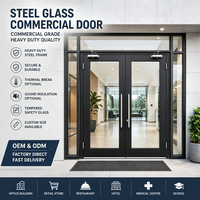Porte d'entrée commerciale de sécurité en acier creux robuste à double battant avec verre, taille et quincaillerie personnalisées