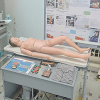 Maniquí de PVC Multifuncional para Entrenamiento Escolar, Modelo Anatómico para Cuidado del Paciente y Enfermería