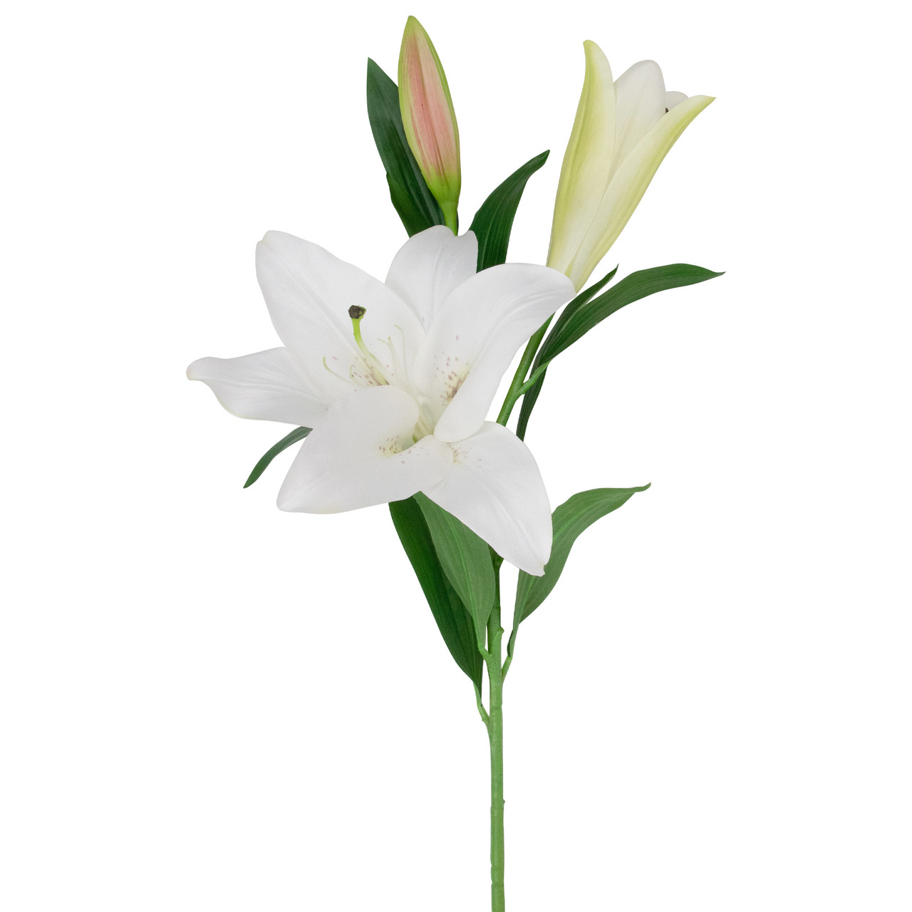 Blanc