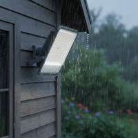 Projecteur LED Sunrise avec température de couleur 3000K/4000K/6500K sélectionnable par interrupteur DIP, disponible en gros avec capteur
