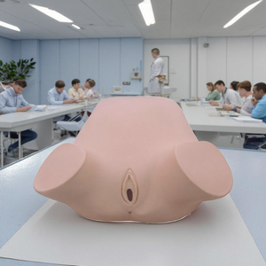 Четырехступенчатая модель обучения пальпации, анального и вагинального обследования для акушерства и гинекологии - Product Image 2