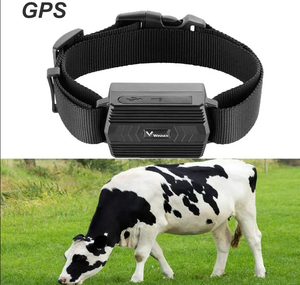 Collier GPS pour animaux TKSTAR étanche 3000 mAh TK935 avec 50 jours d'autonomie en veille, suivi des vaches, application gratuite et suivi en ligne sur PC - Product Image 1