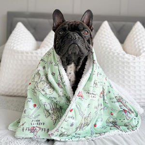 ผ้าห่มสัตว์เลี้ยงผ้าฟลีซพิมพ์ลายสำหรับสุนัขผ้าห่มสำหรับสุนัขดีไซน์ให้ความอบอุ่นในฤดูใบไม้ร่วง/ฤดูหนาว - Product Image 2
