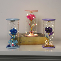 Idées cadeaux pour la Saint-Valentin 2025 : rose éternelle colorée arc-en-ciel illuminée dans un dôme en verre