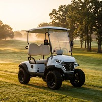 Carrito de Golf Eléctrico para 2 Personas, Motor Asíncrono de CA de 4kW, Freno Hidráulico de Doble Circuito de 60V, Suspensión MacPherson, Neumáticos Todoterreno