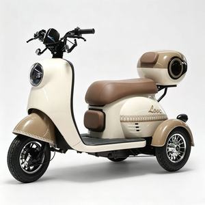 Fábricas Chinas Suministran Directamente Triciclos Eléctricos de Tres Ruedas para Personas con Discapacidad, Así como Triciclos de Tres Ruedas para Adultos - Product Image 1