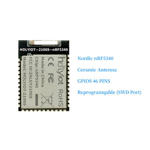 Dispositivos portátiles Holyiot nRF5340 IOT, módulo de consumo de energía ultrabajo para el hogar inteligente, módulo <span class=keywords><strong>Bluetooth</strong></span> Ble 5,0 BT nRF5340 - Product Image 1