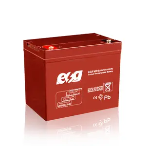 ESG优质凝胶太阳能电池可充电迷你锂离子锂12 V 65 Ah 70Ah铅酸干电池