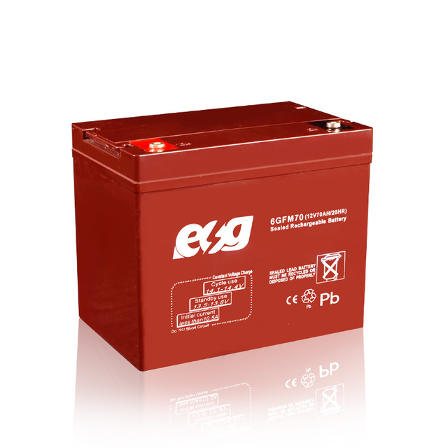 ESG High Quality 12V 65Ah/70Ah Mini Li Ion Lithium Solar Gel Exide Batteries Dry Cell AGM with Sealed 48V Lead Acid Battery