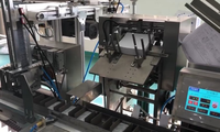 Cartonneuse multifonctionnelle entièrement automatique à grande vitesse pour l'emballage sous blister de biscuits et de savons