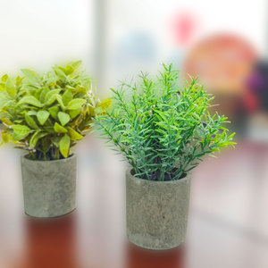 LUYI B2B Liquidación: Set de 3 Mini Plantas Artificiales en Maceta de Plástico para Decoración de Hogar, Jardín y Oficina - Product Image 4
