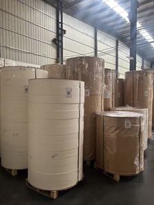 ม้วนกระดาษเคลือบ PE สำหรับทำฐานถ้วยกระดาษ - Product Image 6