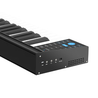Convenient Digital Electric Piano Keyboard Use Battery Music Piano Keyboard Professional Mid 61 Keys Musical Instrument
