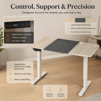 Bureau électrique silencieux AOR au design moderne pour l'apprentissage à domicile, le bureau, le travail sur ordinateur, personnalisable dans toutes les couleurs, vente en gros d'usine