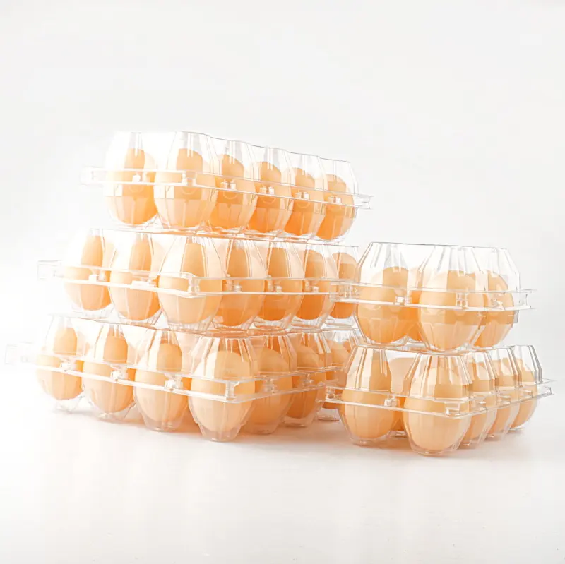 Caixa de embalagem de ovos ecológica, fonte direta de fábrica, saída descartável, bandejas de ovos com capa